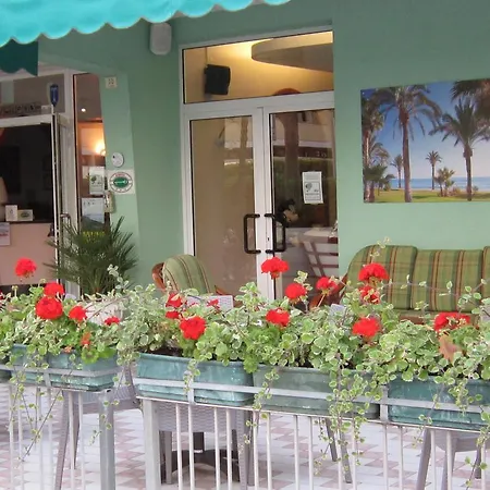 Palme Hotel 3*